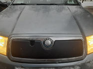 Skoda Fabia 2000-2007 Winterabdeckung für Kühlergrill Glanzend Foto 2