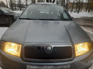Skoda Fabia 2000-2007 Winterabdeckung für Kühlergrill Glanzend Foto 1