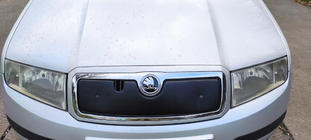 Skoda Fabia 2000-2007 Winterabdeckung für Kühlergrill Glanzend Foto 4