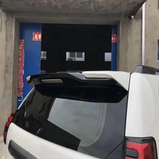 Spoiler Einsatz (über originalem Spoiler) Foto 2