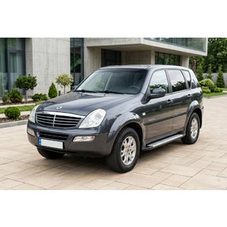Trittbretter Allmond Grey (2 Stk, Alu) SsangYong Rexton I 2001-2017 Foto 1