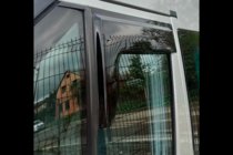 Ford Transit 2000–2014 Windabweiser (2 Stk, HIC) Foto 10