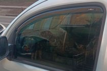 Renault Kangoo 2008–2020 Windabweiser zum Einstecken (2 Stk, HIC) Foto 9