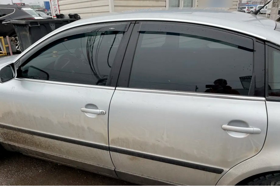 Volkswagen Passat B5 1997-2005 Windabweiser SD (4 Stk, HIC) Image
