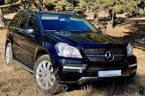 Mercedes GL class X164 2006-2012 Kühlergrill vorn Diamond (2006-2009) Foto 4