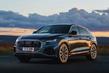 Übersicht Allradantrieb Premium-Crossover Audi Q8 Foto 14