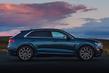 Übersicht Allradantrieb Premium-Crossover Audi Q8 Foto 10