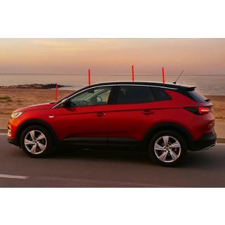 Obere Fensterleisten Edelstahl (8 Stk) Opel Grandland X 2017- Foto 1