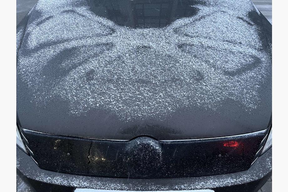 Volkswagen Passat B7 2012-2015 Wintergrill (EU/USA) Image