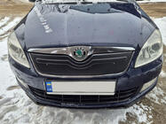 Skoda Roomster 2006-2015 Winterabdeckung für Kühlergrill (2010+, oben) Glänzend Foto 3
