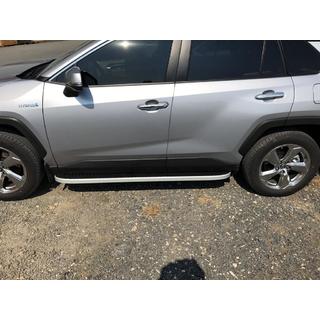 Seitenschweller Tayga Grey (2 Stk., Aluminium) Foto 3