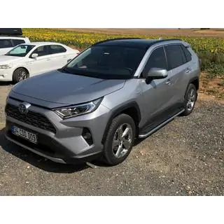 Seitenschweller Maydos V2 (2 Stk., Aluminium mit Edelstahl) Foto 2