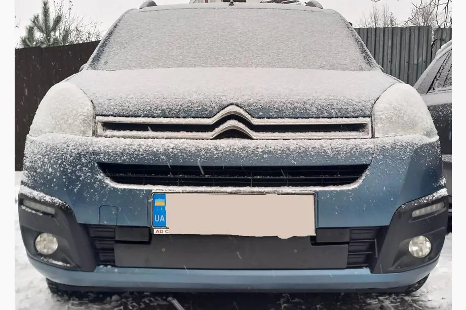 Citroen Berlingo 2008-2018 Wintergrill (2015-2018) Image