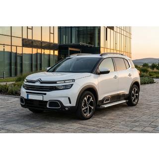 Seitenschweller Allmond Grey (2 Stk, Aluminium) Citroen C5 Aircross 2017-2025 Foto 1