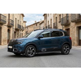 Seitenschweller Allmond Black (2 Stk, Aluminium) Citroen C5 Aircross 2017-2025 Foto 1