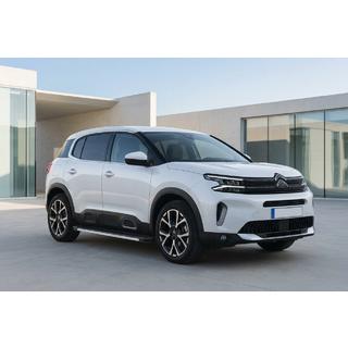 Seitenschweller Maya V1 (2 Stk., Aluminium) Citroen C5 Aircross 2017-2025 Foto 1