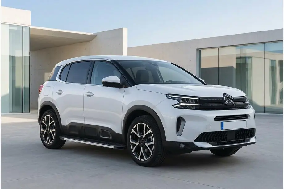Citroen C5 Aircross 2017-2025 Seitenschweller Maya V1 (2 Stk., Aluminium) Image