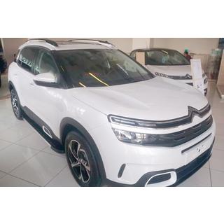 Trittbretter Duru (2 Stk., Aluminium) Citroen C5 Aircross 2017-2025 Foto 3