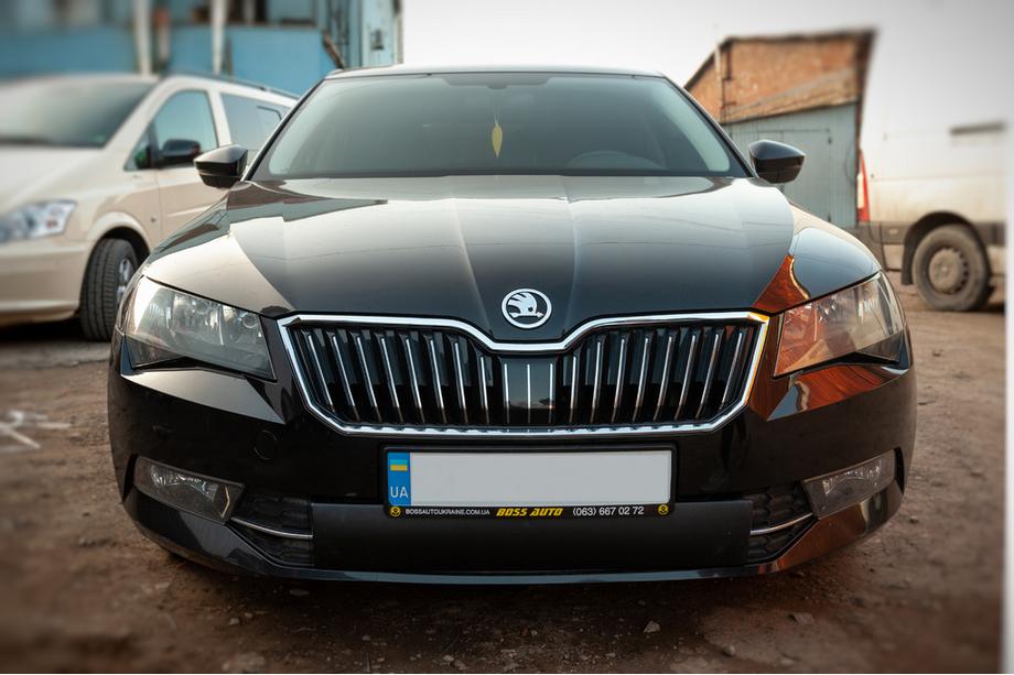 Skoda Superb 2015-2024 Winterabdeckung für Kühlergrill (2015-2019, unten) Matt Foto 1