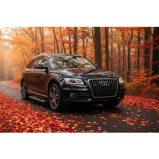 Seitenschweller New Vision Black (2 Stk., Aluminium) Audi Q5 2008-2017 Foto 1