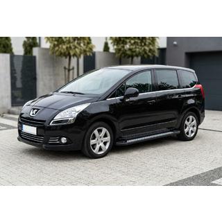 Seitenschweller New Vision Black (2 Stk., Aluminium) Peugeot 5008 2009-2016 Foto 1