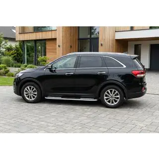 Seitenschweller Tayga V2 (2 Stk., Aluminium) Foto 1