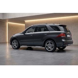 Seitenschweller Tayga V2 (2 Stk., Aluminium) Mercedes GLE/ML class W166 2011-2018 Foto 1