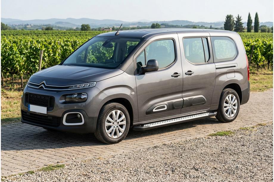 Citroen Berlingo/Multispace 2018- Trittbretter Allmond Grey (2 Stk., Aluminium) Image