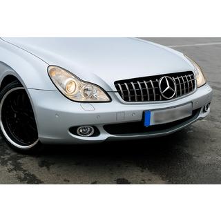 Frontgrill (2008-2010, GT Panamericana) Mercedes CLS C219 2004-2010 Foto 1