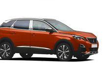 Peugeot 3008 2016-2023 Edelstahl Türsäulen Abdeckungen Foto 4
