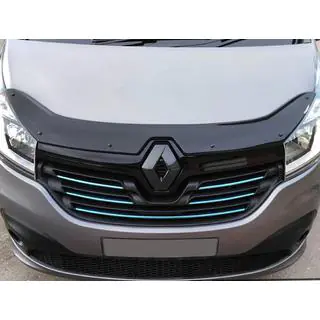 Motorhaubenschutz (2015-2019, EuroCap) Foto 4