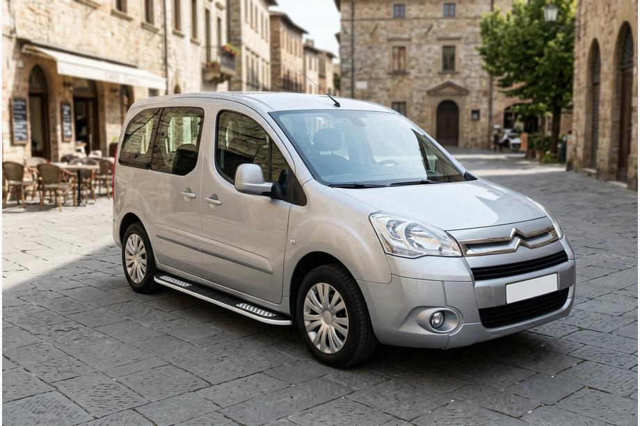 Citroen Berlingo 2008-2018 Seitenschweller Tayga V2 (2 Stk., Aluminium) Image