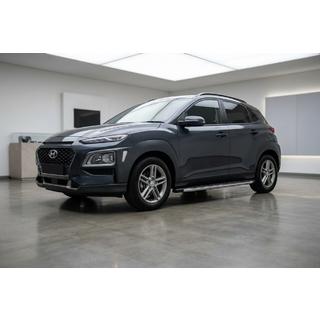 Seitenschweller BlackLine (2 Stk., Aluminium) Foto 1