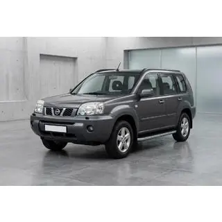 Seitenschweller Tayga Grey (2 Stk., Alu) Foto 1