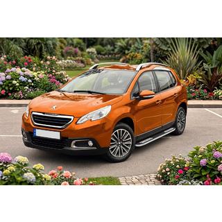 Seitenschweller Tayga V2 (2 Stk., Aluminium) Foto 1