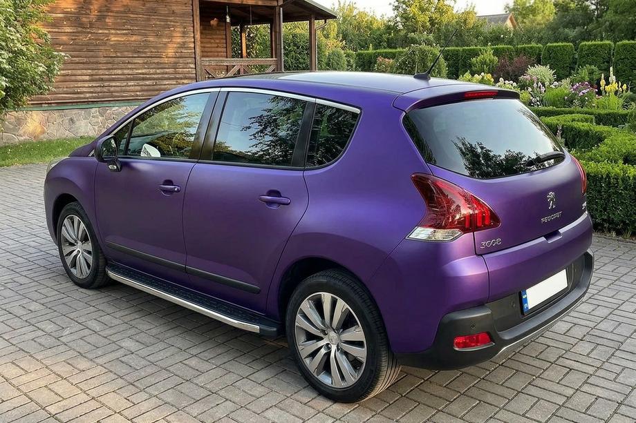 Peugeot 3008 2008-2016 Seitenschweller BlackLine (2 Stk., Aluminium) 2008-2014 Image