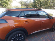 Peugeot 2008 2019- Fensterrahmen Abdeckung (6 Stk, Edelstahl) Foto 2