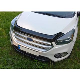 Motorhaubenschutz 2016+ EuroCap Foto 3