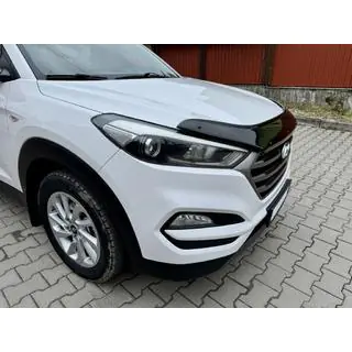 Motorhaubenschutz (EuroCap) Foto 3