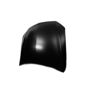 Motorhaube (Aluminium) Foto 3