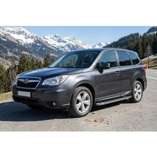 Seitenschweller BlackLine (2 Stk., Aluminium) Foto 1