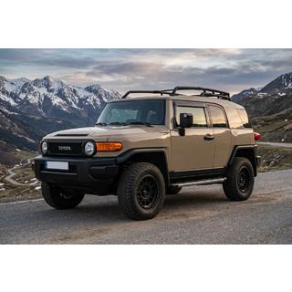 Trittbretter BlackLine (2 Stk., Aluminium) Foto 1