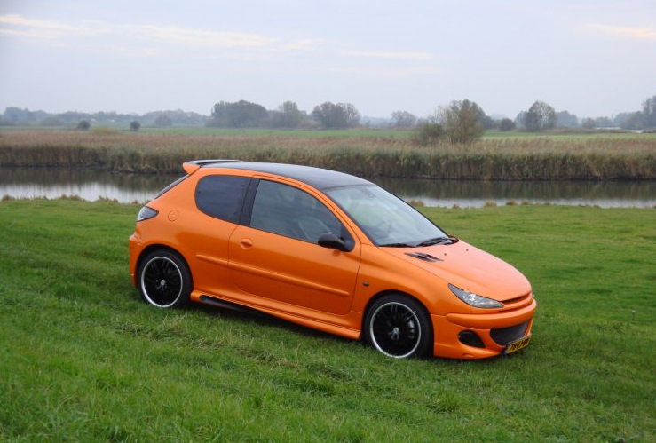 Peugeot 206 einstellen