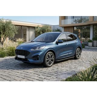 Seitenschweller Tayga Black (2 Stk., Aluminium) Foto 1