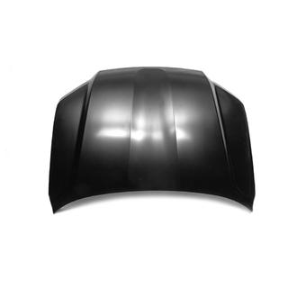 Motorhaube 2016+ grundiert (China) Foto 1