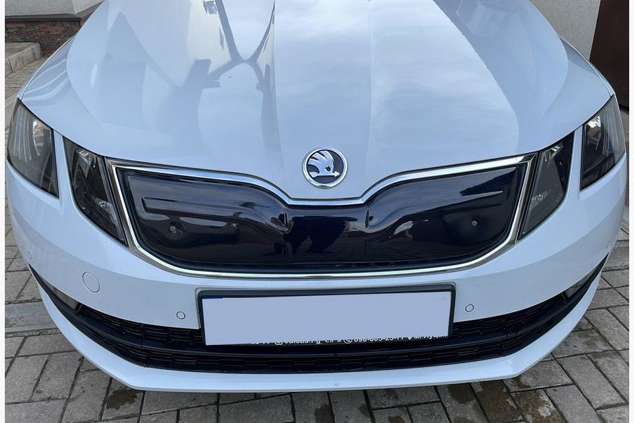 Skoda Octavia III A7 2013-2019 Wintergrill (2017-2020) Image