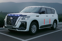 Nissan Armada 2016-2024 Türleisten (4 Stk, schwarz) Foto 3