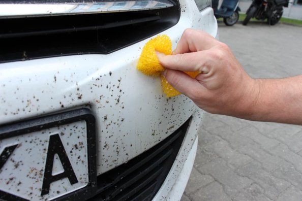 Wie entferne ich festsitzende Insekten aus meinem Auto?