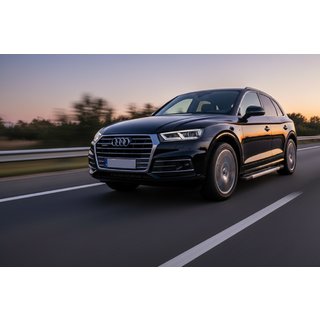 Seitenschweller Vision New Grey (2 Stk., Aluminium) Audi Q5 2017-2025 Foto 1