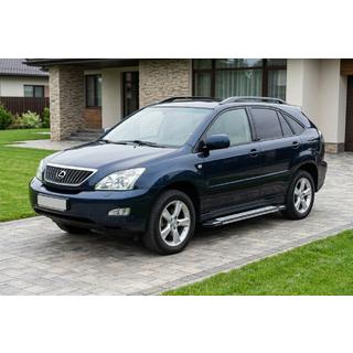 Trittbretter Rainbow (2 Stk., Aluminium) Lexus RX 2003-2009 Foto 1